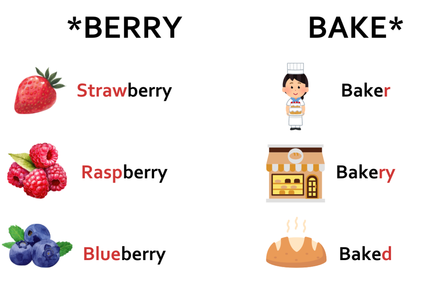 Two columns of words. On the left it says *berry, strawberry, raspberry, blueberry. On the right it says bake*, baker, bakery, baked. Each word has an illustration of the word next to it.